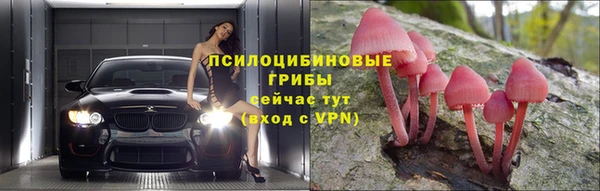 первитин Богданович