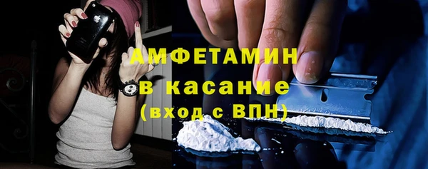 шишки Богородицк