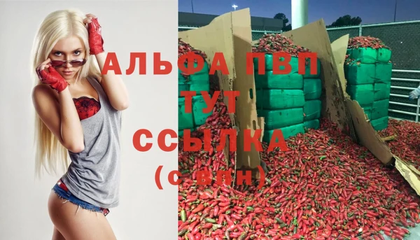 шишки Богородицк