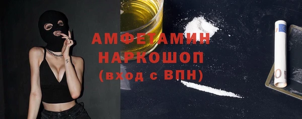 шишки Богородицк