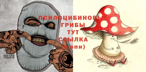 шишки Богородицк