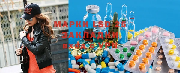 шишки Богородицк