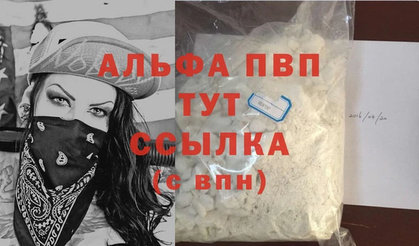 шишки Богородицк