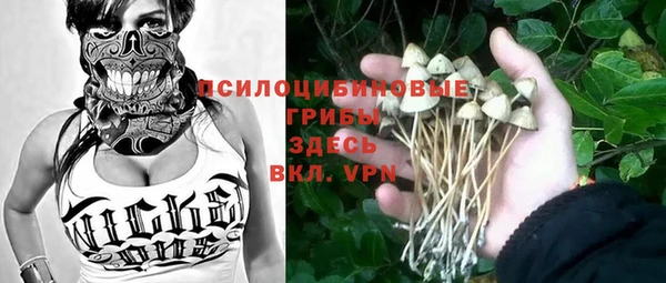 шишки Богородицк