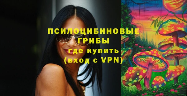 дурь Богородск